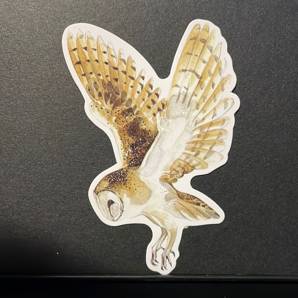 OWL STICKER